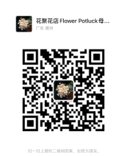 花店学徒工带薪实习