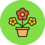 花鸟鱼虫